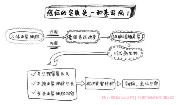 肿瘤基因检测的意义,肿瘤基因检测有用吗